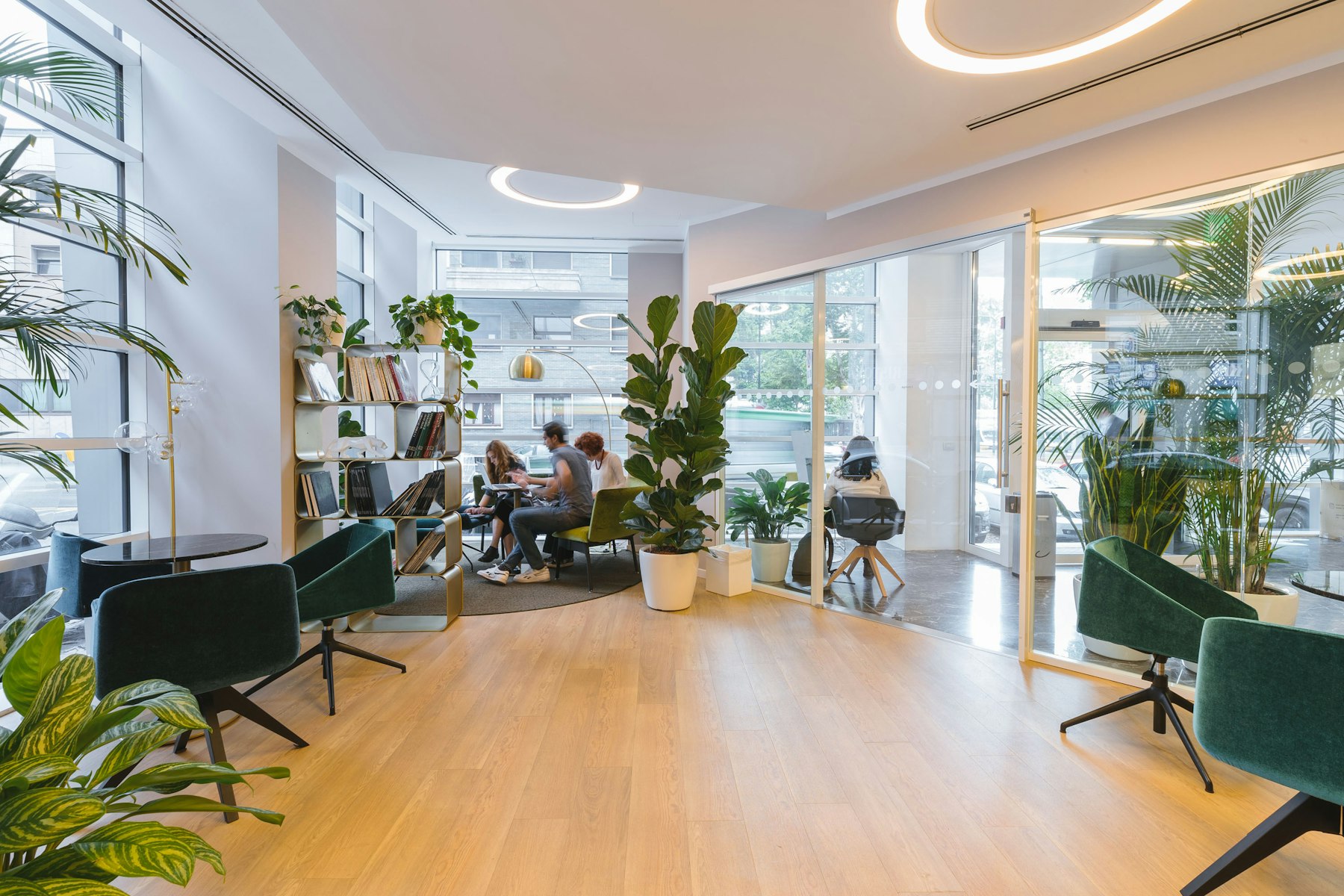 Bright office lounge with light wood flooring, plants and lounge chairs